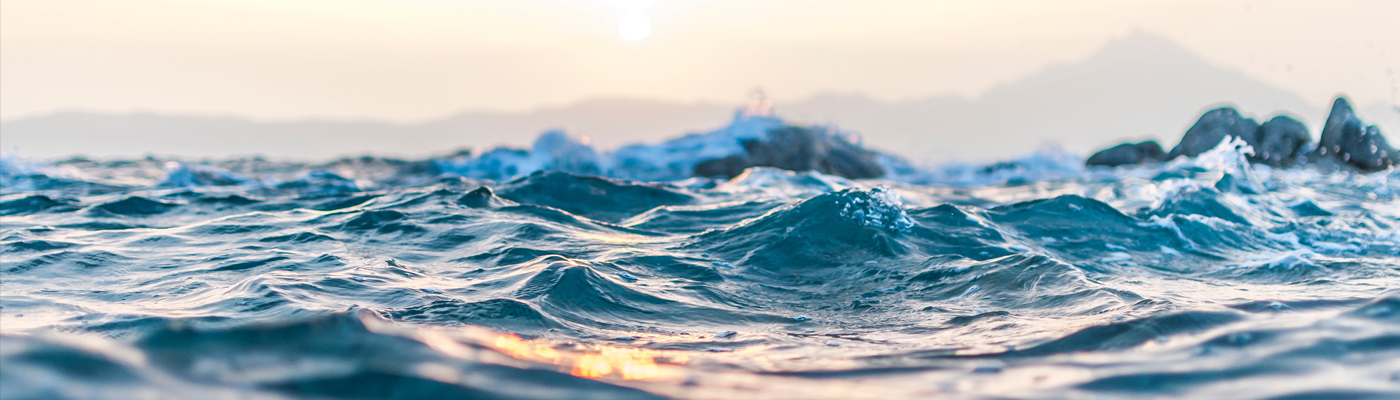 Online NEET Coaching