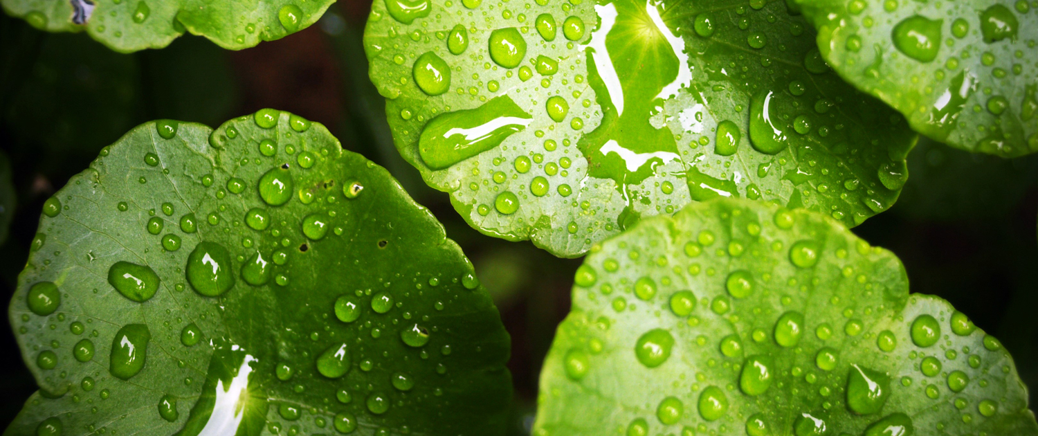 Medical IIT JEE Coaching